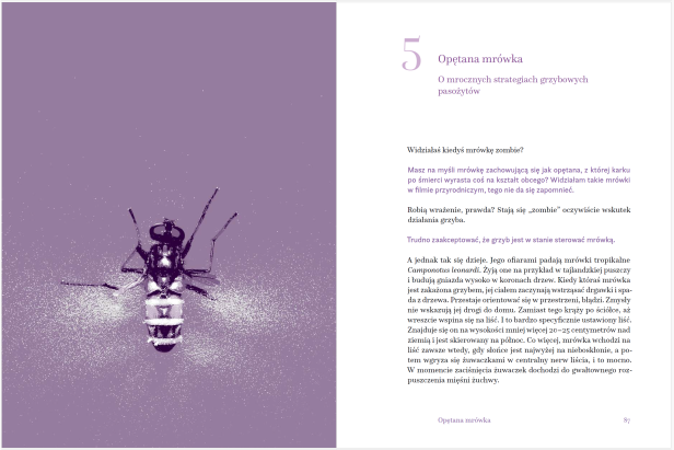 02_Fragment Marta Wrzosek Karolina Głowacka W czym grzyby są lepsze od ciebie.png