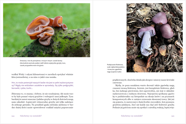 07_Fragment Marta Wrzosek Karolina Głowacka W czym grzyby są lepsze od ciebie.png