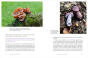 07_Fragment Marta Wrzosek Karolina Głowacka W czym grzyby są lepsze od ciebie.png