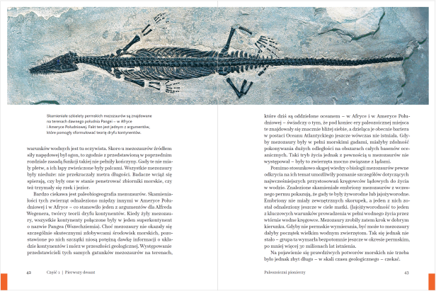 03_Fragment Daniel Tyborowski W głębiny ewolucyjna podróż morskich gadów i ssaków.png