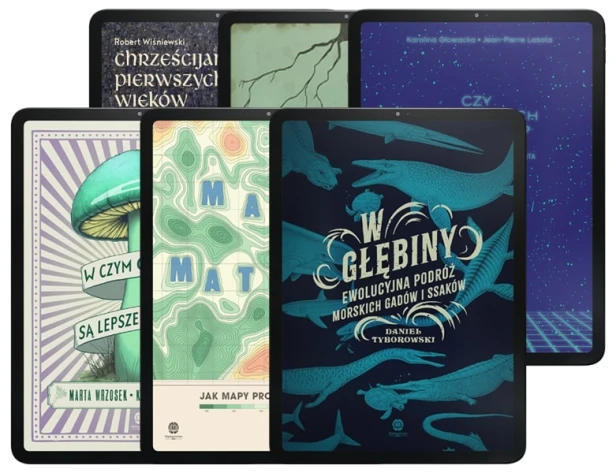 zestaw-6-ebook-wydawnictwo-rn-tyborowski-wrzosek-glowacka-rowinska (2).jpg