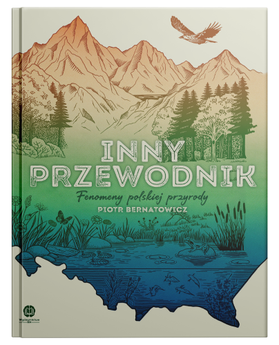 Przewodnik_Front.png