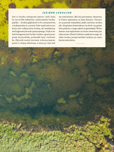 Inny_przewodnik_Piotr_Bernatowicz_Fragment-251.png