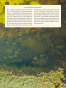 Inny_przewodnik_Piotr_Bernatowicz_Fragment-251.png