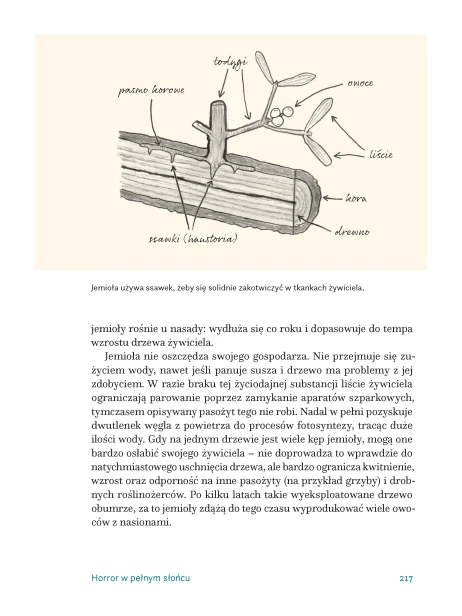 Inny_przewodnik_Piotr_Bernatowicz_Fragment-217.png